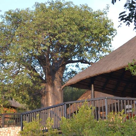 Adansonia Eco Lodge ムシナ エクステリア 写真