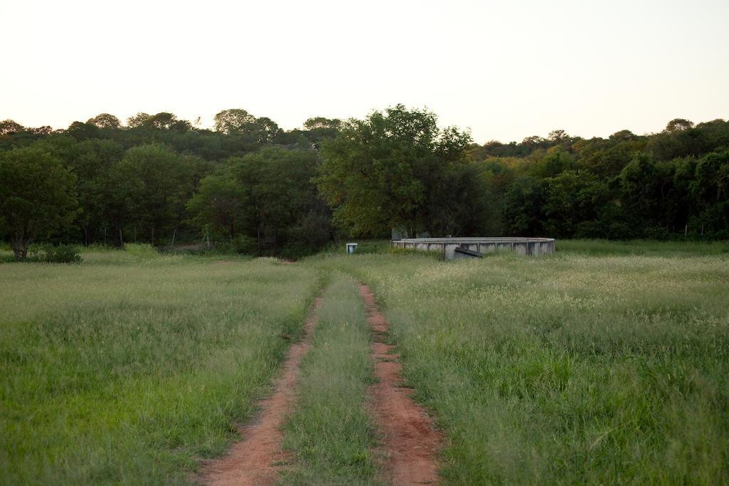 Adansonia Eco Lodge ムシナ エクステリア 写真