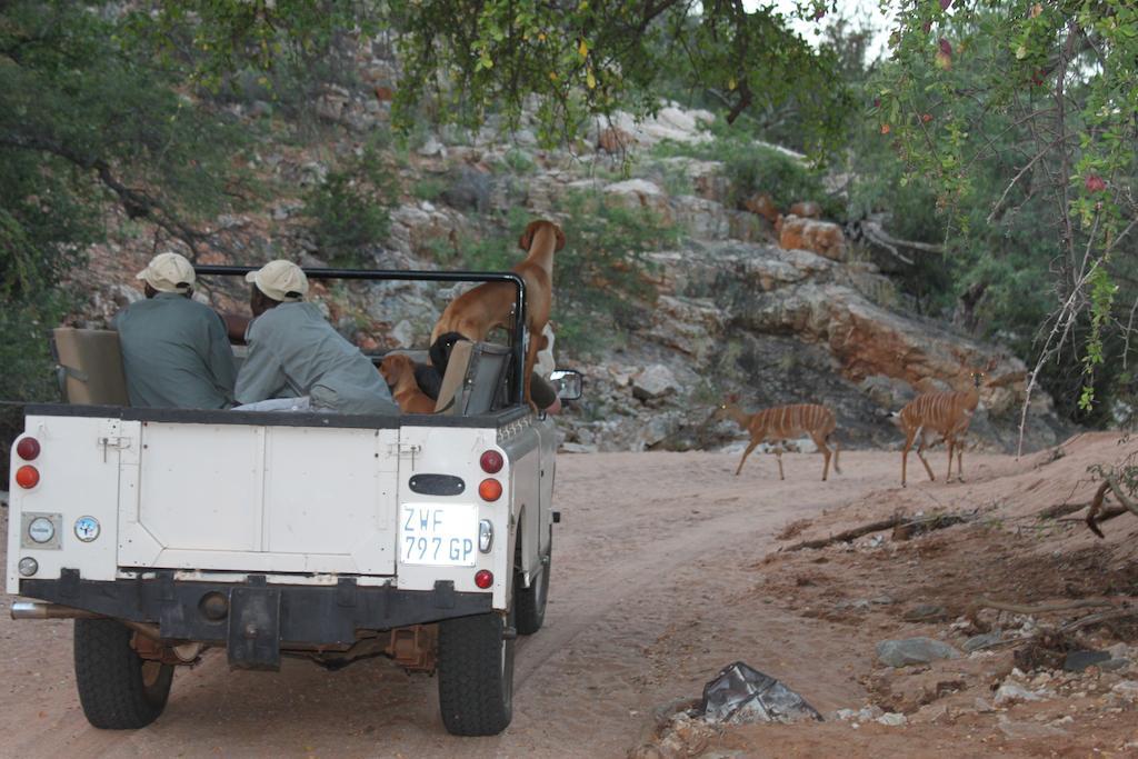 Adansonia Eco Lodge ムシナ エクステリア 写真