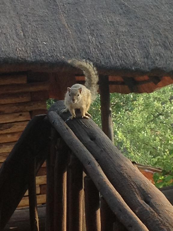 Adansonia Eco Lodge ムシナ エクステリア 写真
