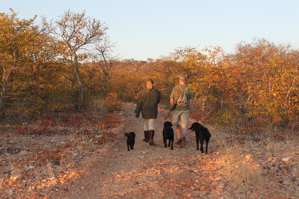 Adansonia Eco Lodge ムシナ エクステリア 写真