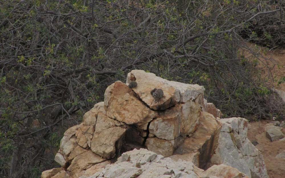 Adansonia Eco Lodge ムシナ エクステリア 写真