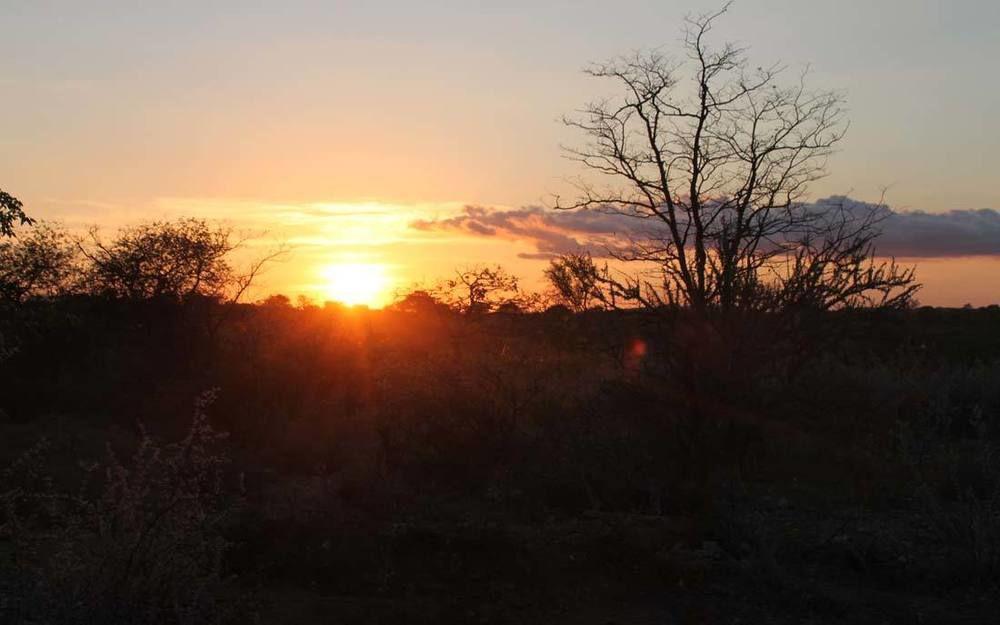 Adansonia Eco Lodge ムシナ エクステリア 写真