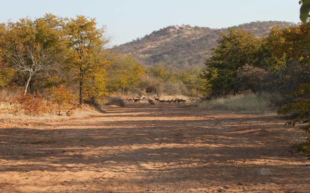 Adansonia Eco Lodge ムシナ エクステリア 写真