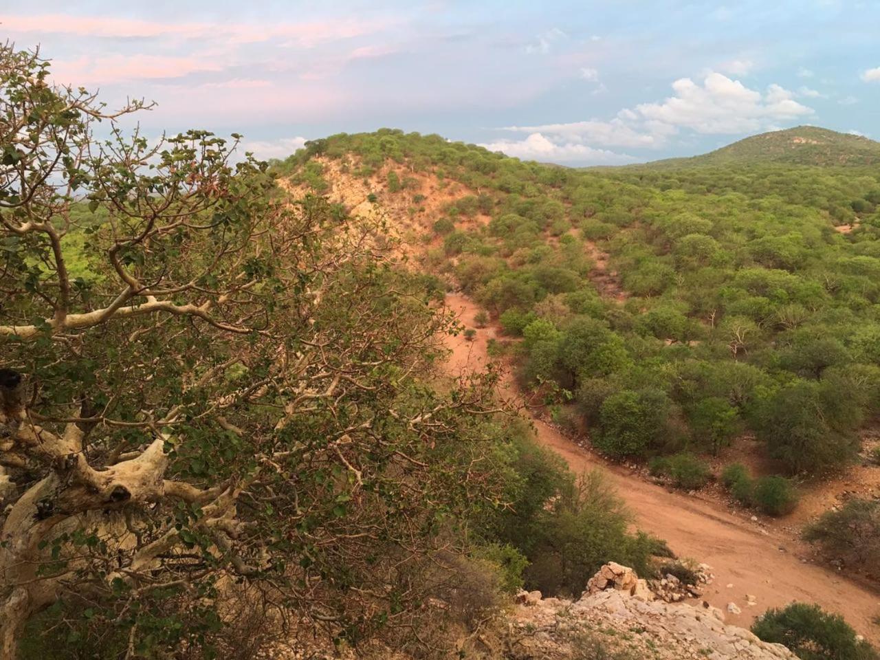 Adansonia Eco Lodge ムシナ エクステリア 写真